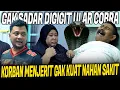 Download Lagu KAKEK 70 TAHUN TERGIGIT ULAR COBRA PENYEMBUR !! KAKI SUDAH MEMBENGKAK DAN BERNANAH