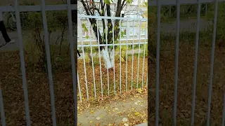 школа номер 64 внутри и снаружи 