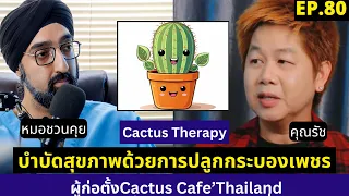  โรคซึมเศร้าสามารถรักษาด้วยการเลี้ยงต้นกระบองเพชรได้ไหม 