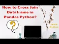 How to Cross Join Dataframe in Pandas Python Cross Join in Python Learn Python