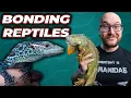 Top 5 Reptiles That Bond With Humans