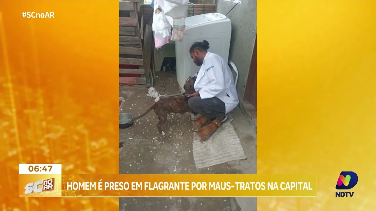 Acidente grave na BR-376 deixa dois mortos e feridos