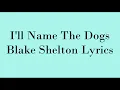 I'll Name The Dogs | Blake Shelton | Lyrics