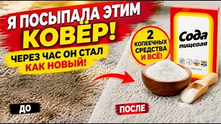 Этот способ чистки КОВРА стоит копейки, а эффект как после химчистки