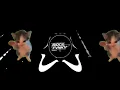 DJ KICAU MANIA REMIX X VIDEO KUCING JOGET KICAU MANIA || GASPOL NDANGAK VIRAL TIKTOK | AKBAR CHALAY