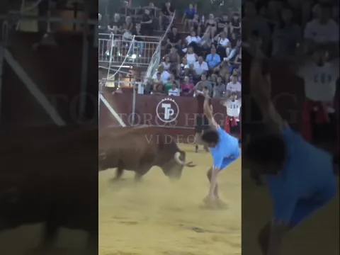 LE PEGA UNA CORNADA EN TIBIA‼️🙆🏻‍♂️UN ENORME TORO⚠️