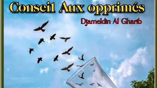 Download Conseil aux opprimés  (Djameldin Al Gharib) MP3