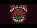 Download Lagu Collie Buddz - Show Love