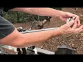 Log Splitter Seal Repair Field Solutions That Work