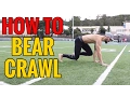 How to Crawl - Beginners Guide to Crawling