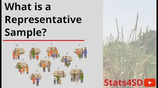 What is a Representative Sample