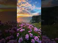 Download Lagu 24kgoldn - Mood [Lyrics] ft.iann dior || Lyrics video  || lofi || Mood song ||  #lyrics #aesthetic