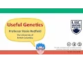 2F - Mutations in other functional sequences
