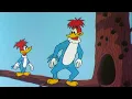 Download Lagu Qual Deles é o Verdadeiro Pica-Pau? | Pica-Pau em Português