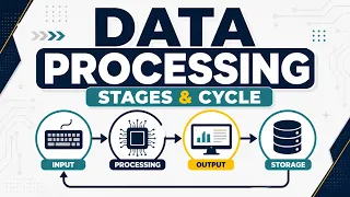 The Data Processing Cycle What Happens After Collection