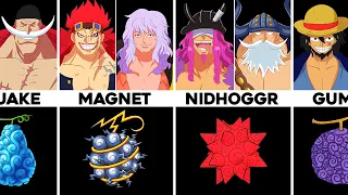 All One Piece Characters Who Ate the Same Devil Fruit