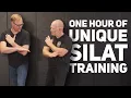 One Hour Silat Lesson That Feels Like A Private Seminar