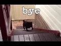 bye gif