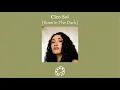 Cleo Sol - Rose in the Dark
