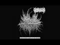 Download Lagu GOSUDAR - Eschatological Agony of the Universe (Full EP 2024)