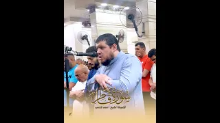 تلاوة يرق لها القلب لسورة فاطر كاملة   للقارئ الشيخ احمد كاسب دندنها