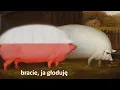 Download Lagu Bracie, czy mógłbym skosztować trochę owsa? | 🇵🇱 POLSKI DUBBING 🇵🇱