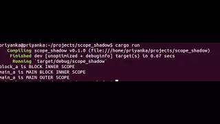 TUTORIAL 10 SCOPE AND SHADOWING IN RUST