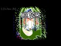 Download Lagu The vines - Homesick Sub Español