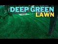 Make your ugly lawn DARK GREEN in 3 days