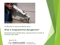 What is IPM