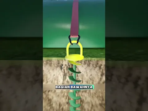 Di indo kurang cocok sepertinya 😅
