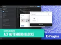 Scripts Organizer - ACF Gutenberg Addon