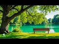 Download Lagu Soothing, relaxing music for healing, clarity and peace