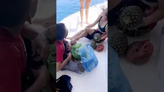 Hmmmm, interesting one to handle… ⛵️🇮🇩 #sailingfamily #indonesia