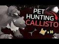 Obtaining The Callisto Pet 1 000 KC