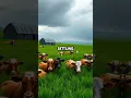 Cows Predict Storms? Their Secret Weather Trick Explained! π§οΈπ