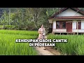 Download Lagu KEHIDUPAN SEHARI -HARI GADIS CANTIK DI PEDESAAN 