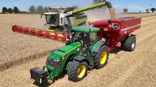 Weizen Ernte 2026 - Claas Lexion 8700 & Traktor John Deere 8R - Lebensmittel aus der Landwirtschaft