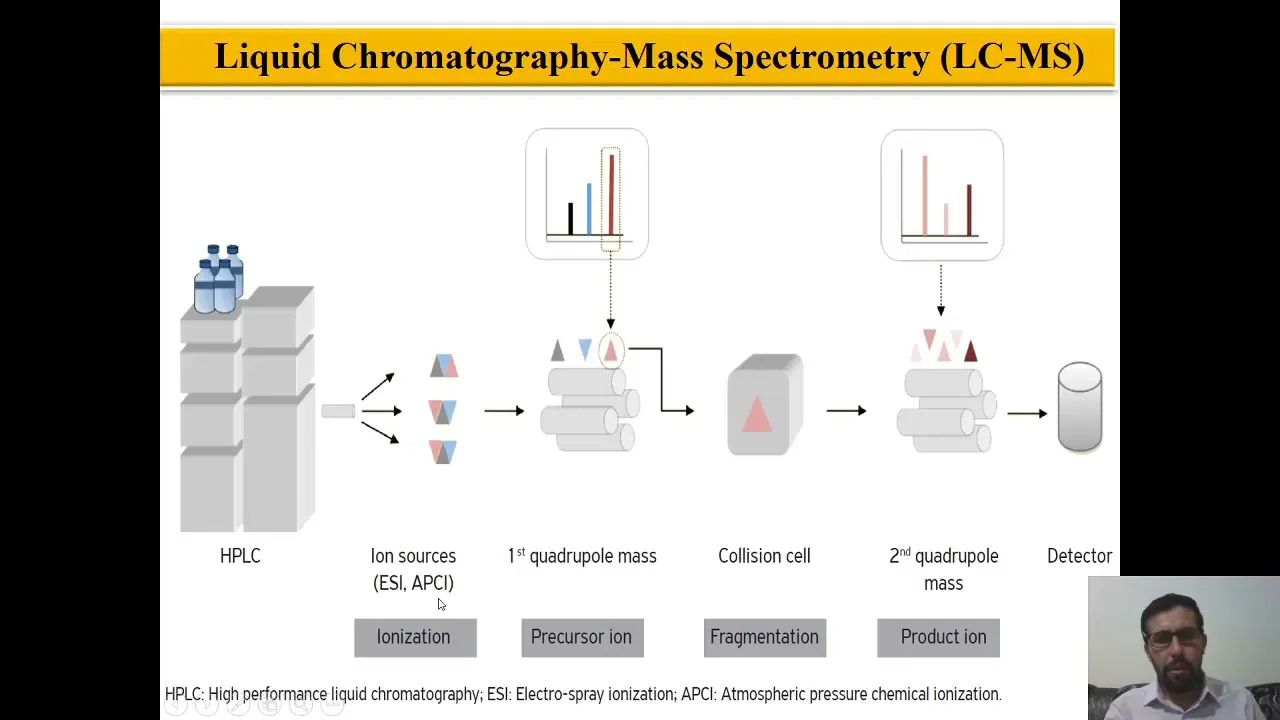 Liquid Chromatography–Mass Spectrometry LC MS