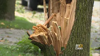 Residents Believe Possible Tornado Caused Damage In Bel Air