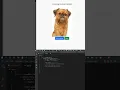 AI Image Classification Using ml5 JS SHORT