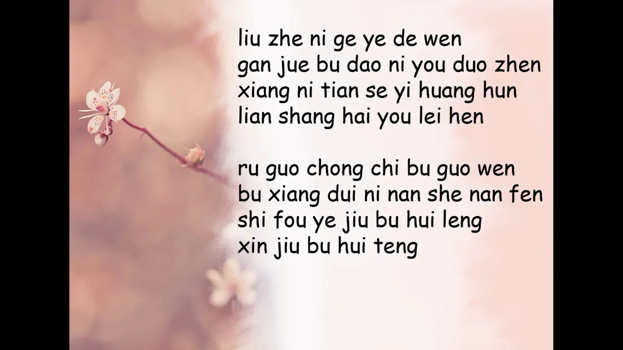 Broken Hearted Woman Lyrics Video - Faye Wong