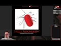 Discussing the Single Responsibility Principle in C SOLID Principles - Ep 91