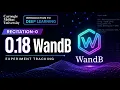 0 18 Wandb