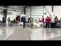 2026 PVSC Amateur Owner-Handler Dogs