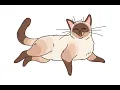 Download Lagu the living tombstone - Cats (slowed+reverb)