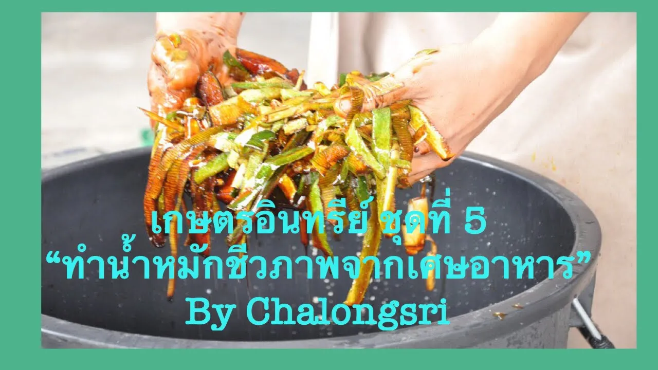 เทคนิคการทำปุ๋ยหมักเศษอาหารให้แห้งใน 7 วัน