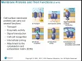 2107 Chapter 7 - Membrane Structure and Function