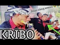 Download Lagu BIKIN OLENG SEMUA ORANG YANG DENGAR WKWK ❗️❗️|| KRIBO CUTA NADA