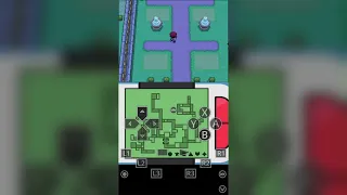 PLATINUM KAIZO 26 - MANSION